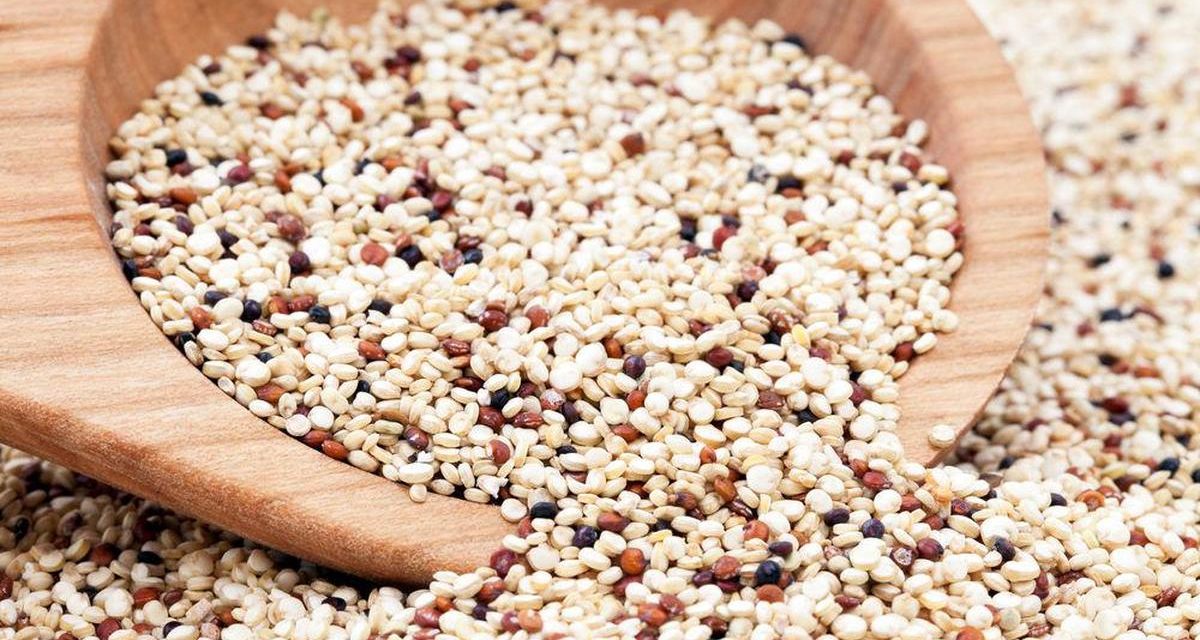 Quinoa: Superfood Sehat Pengganti Nasi Yang Sedang Tren