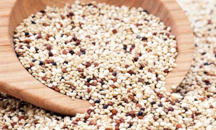 Quinoa: Superfood Sehat Pengganti Nasi Yang Sedang Tren