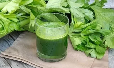 Tak Banyak Tahu! Manfaat Dahsyat Jus Seledri Untuk Kesehatan